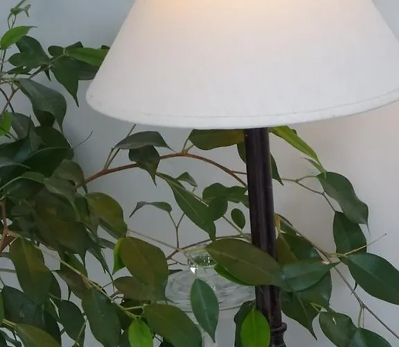 Appartement 3c-apartments *